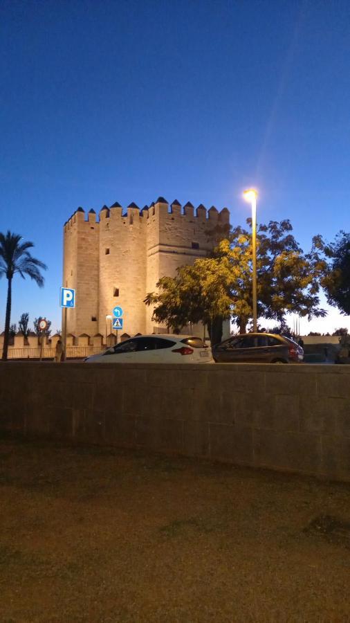 Apartamento Andalucia 科爾多瓦 外观 照片